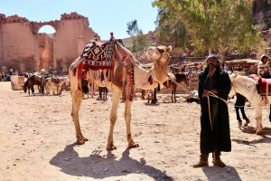 Complete Guide to Attending the Pushkar Camel Fair