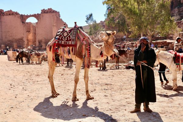 Complete Guide to Attending the Pushkar Camel Fair